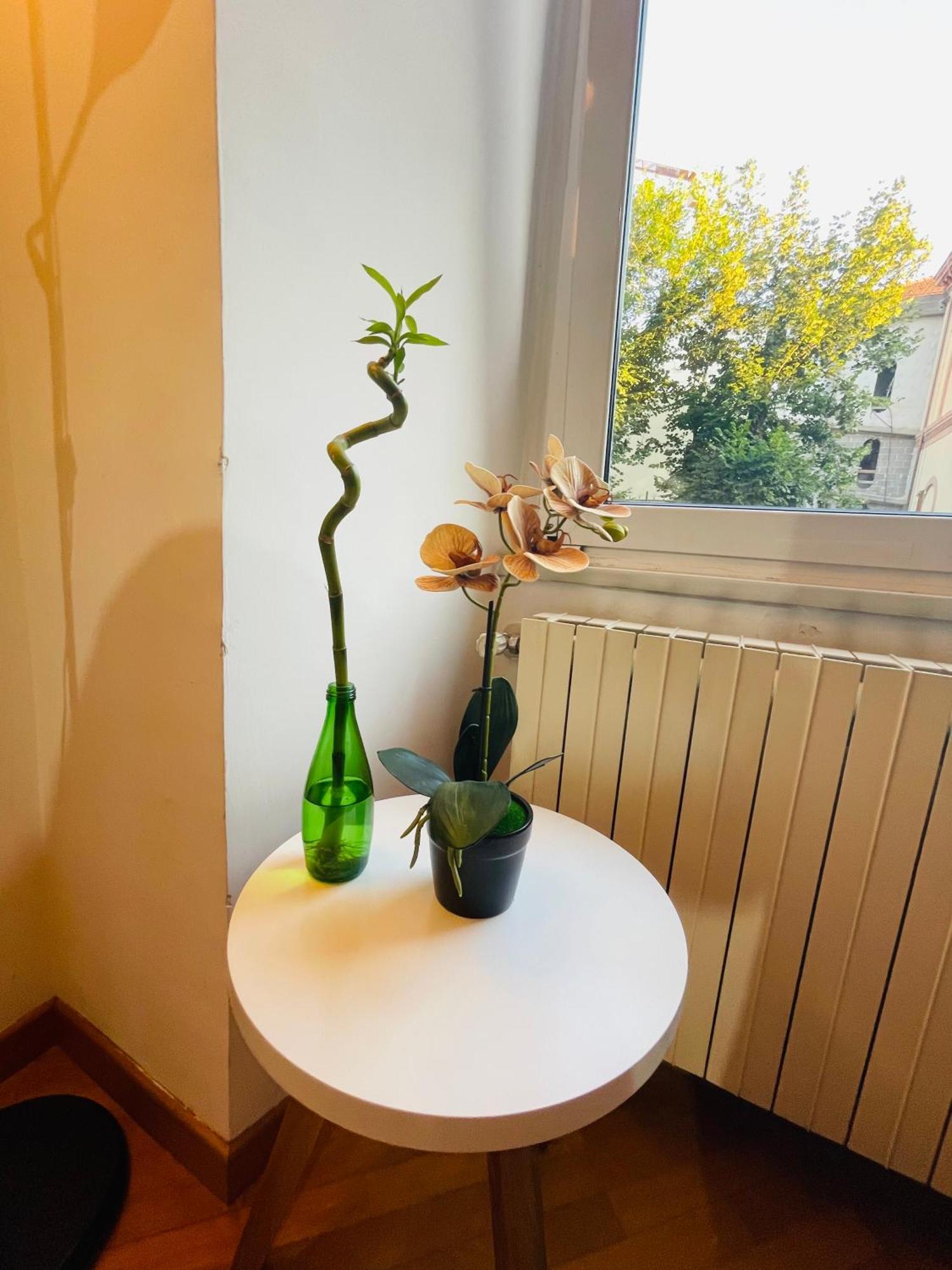 Holiday Colosseum Rome Bed & Breakfast Eksteriør bilde