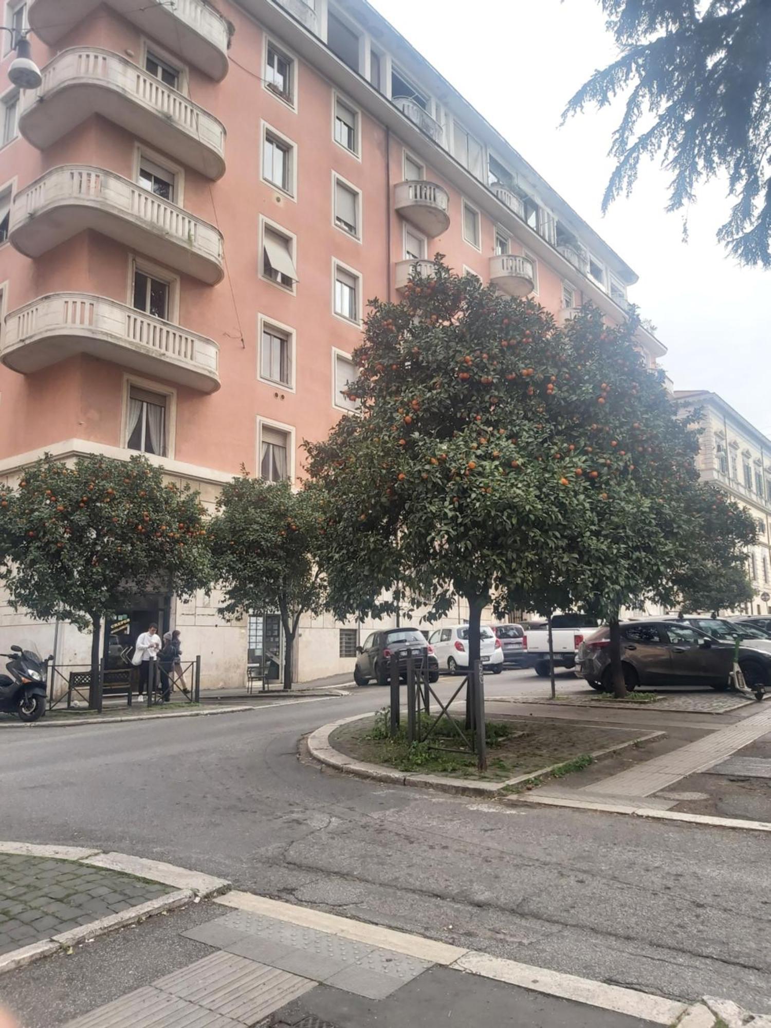Holiday Colosseum Rome Bed & Breakfast Eksteriør bilde